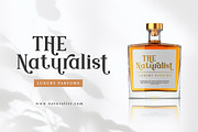 Modern Royale - Luxury Serif Font, a Serif Font by Bluestype Studio (Thumbnail 4 of 8)