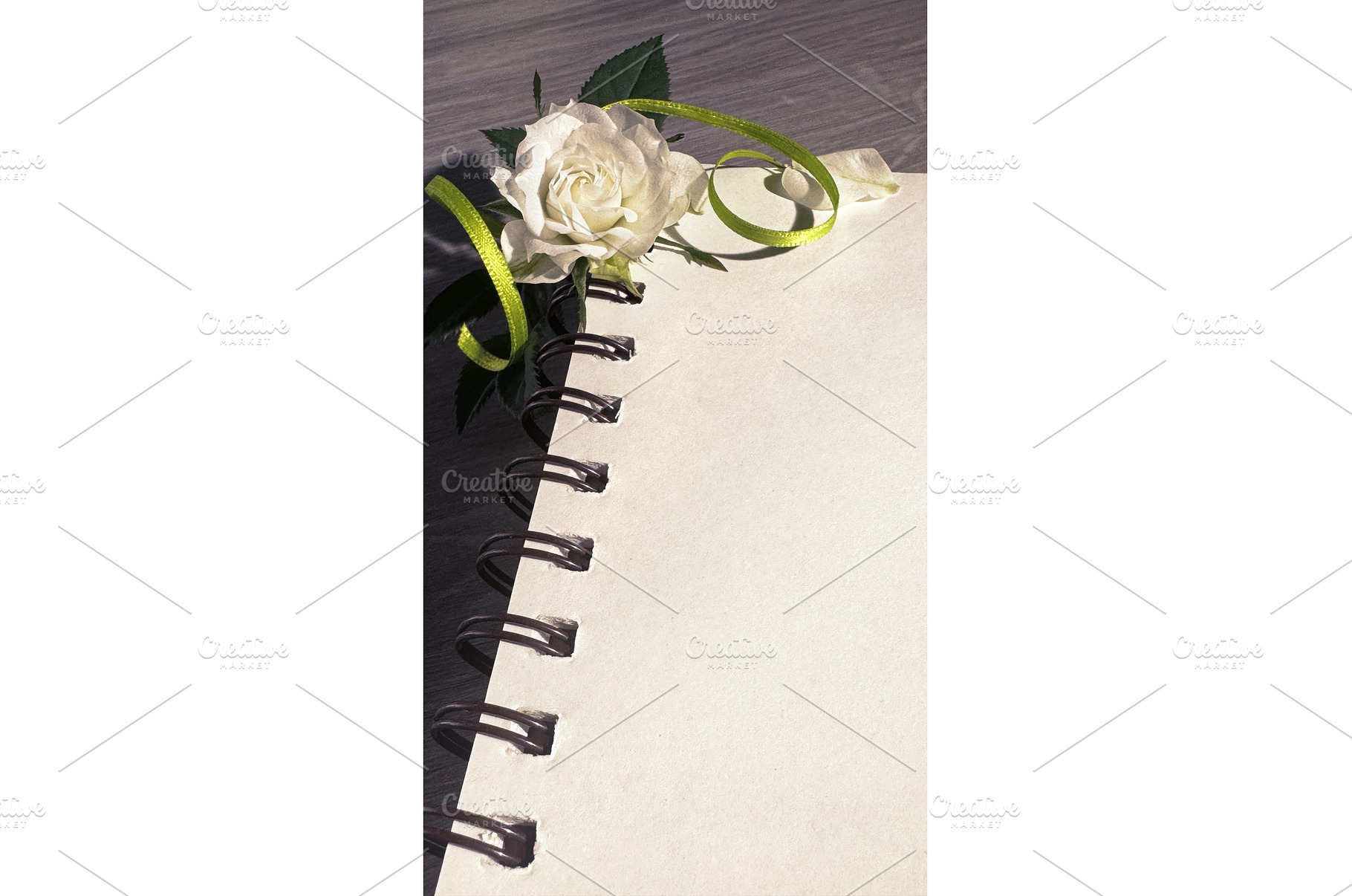 Spiral notebook with blank pages, a Photo by tilialucida