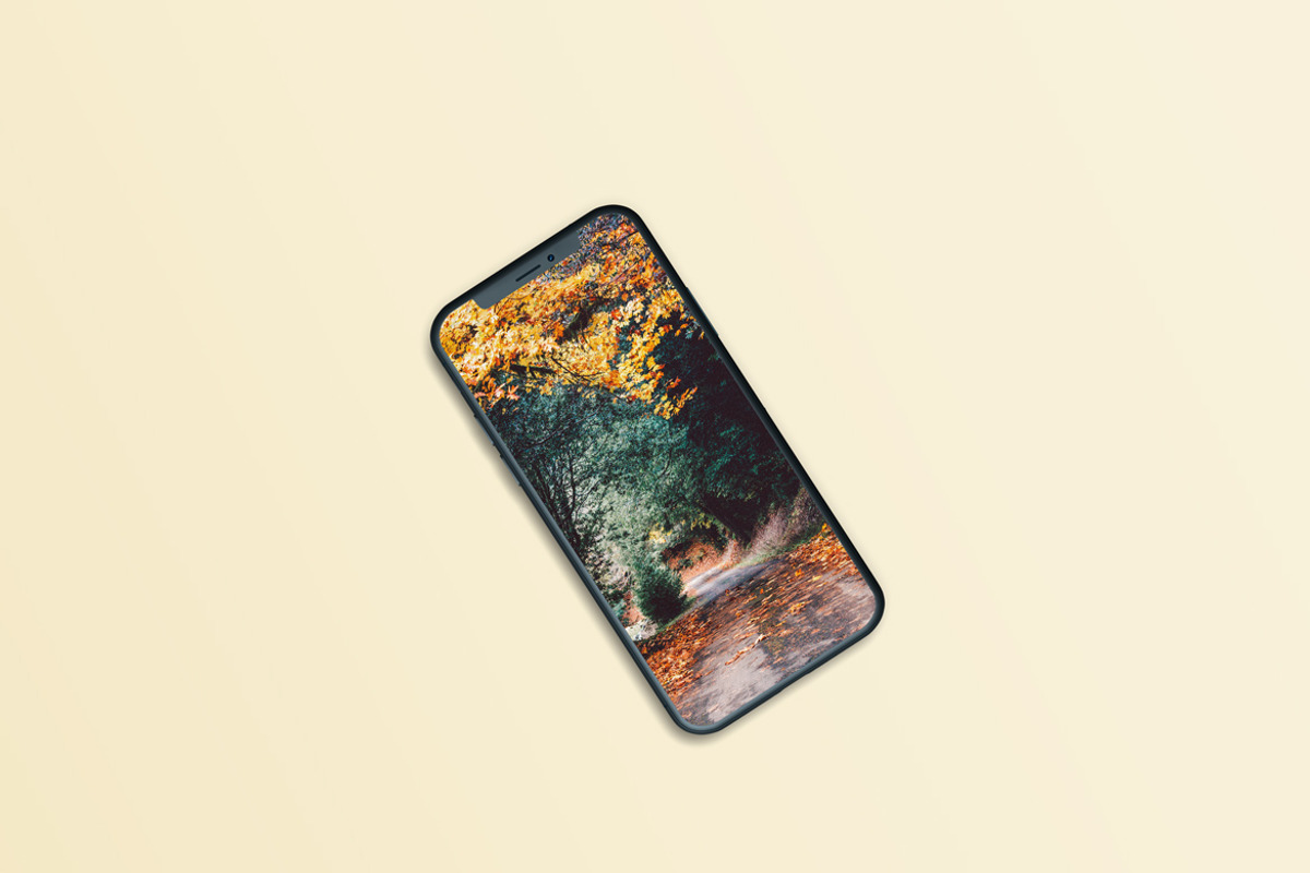 Phone 11 Mock-Ups, a Packaging Mockup by Thirtypath Studio (Photo 4 of 5)