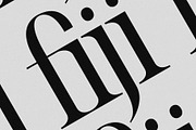 Daybreak Club - Elegant Serif, a Serif Font by subkulturetype (Thumbnail 3 of 12)