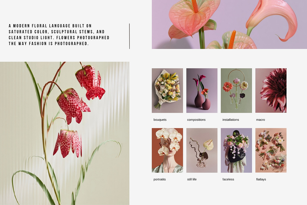 Bloom Atelier | 345 stock images, a Nature Photo by Tale.Haus (Photo 6 of 20)