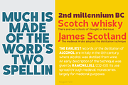 Paygon Sans Family, a Sans Serif Font by TypeClassHeroes (Thumbnail 12 of 15)