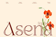 CS Asena Stippled, a Serif Font by Craft Supply Co. (Thumbnail 1 of 8)