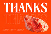 Choarll Modern Serif Display, a Serif Font by timelesstype.co (Thumbnail 20 of 20)