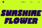 CS Midway Pixel, a Sans Serif Font by Craft Supply Co. (Thumbnail 3 of 8)