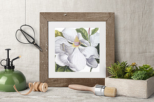 Magnolia Clipart