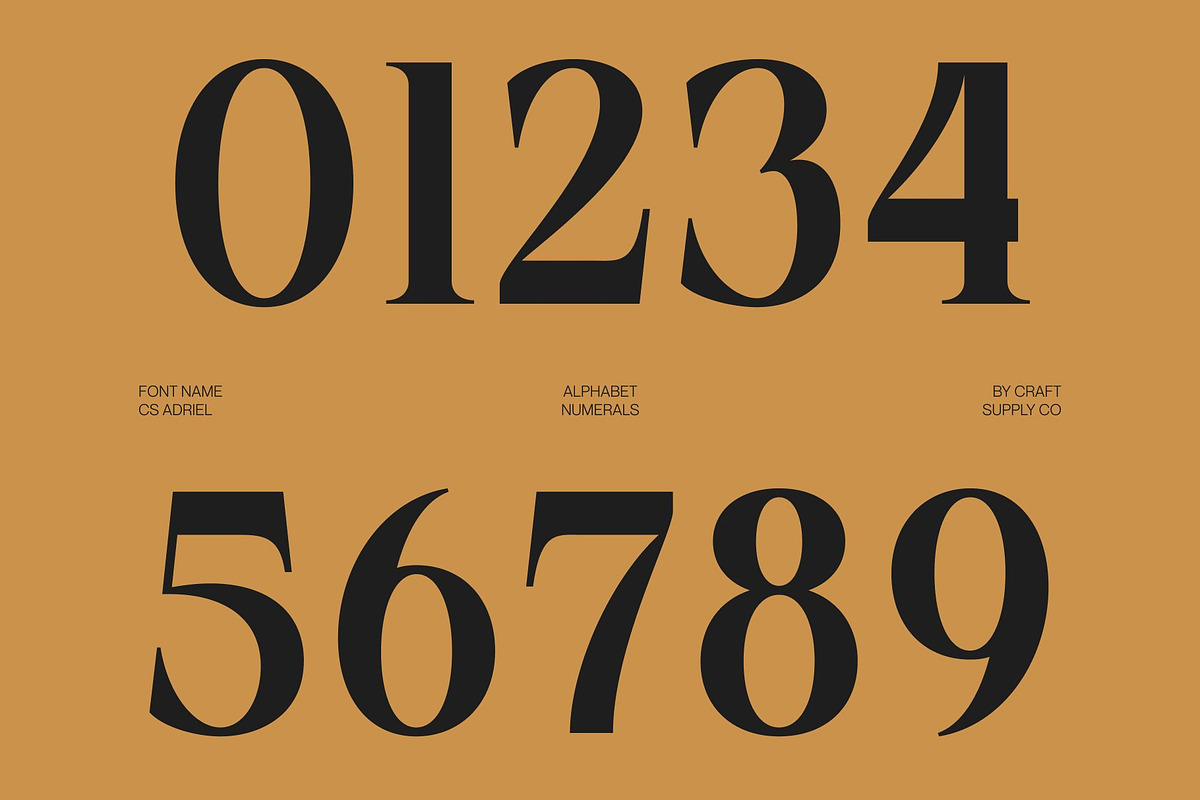 CS Adriel – Modern Serif Font, a Serif Font by Craft Supply Co. (Photo 6 of 8)