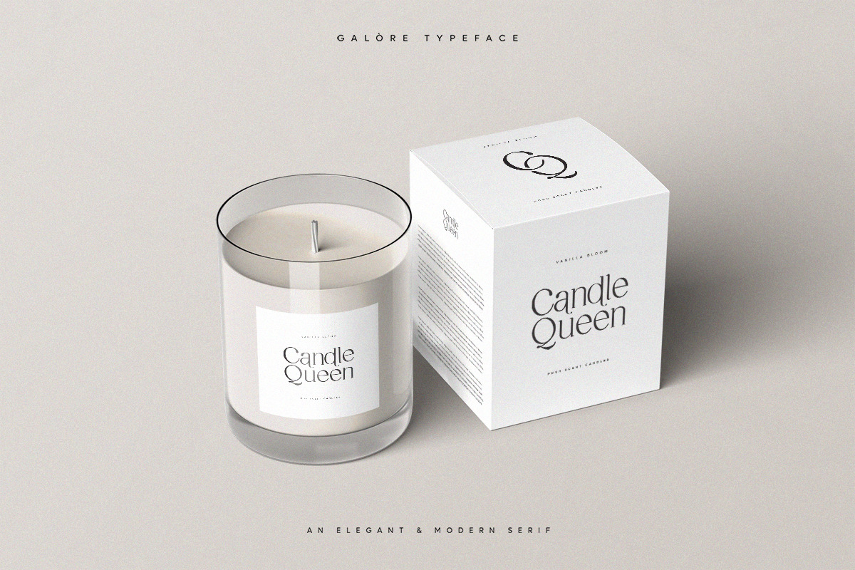 Galore - Elegant Modern Serif, a Serif Font by TypeFounder (Photo 6 of 12)