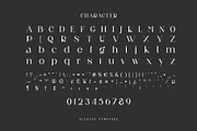 Neuva Ligature Serif Typeface, a Serif Font by yaqublekker (Thumbnail 9 of 10)