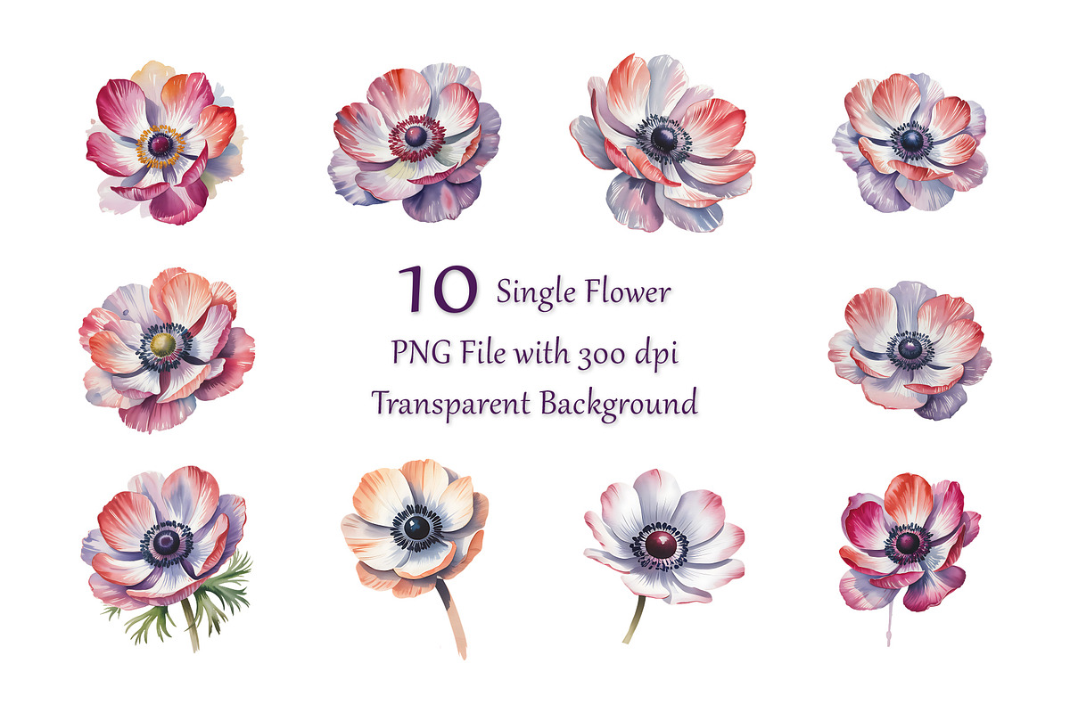 Anemone Watercolor Floral Clipart, a Decorative Illustration by ForhadGFX (Photo 7 of 14)