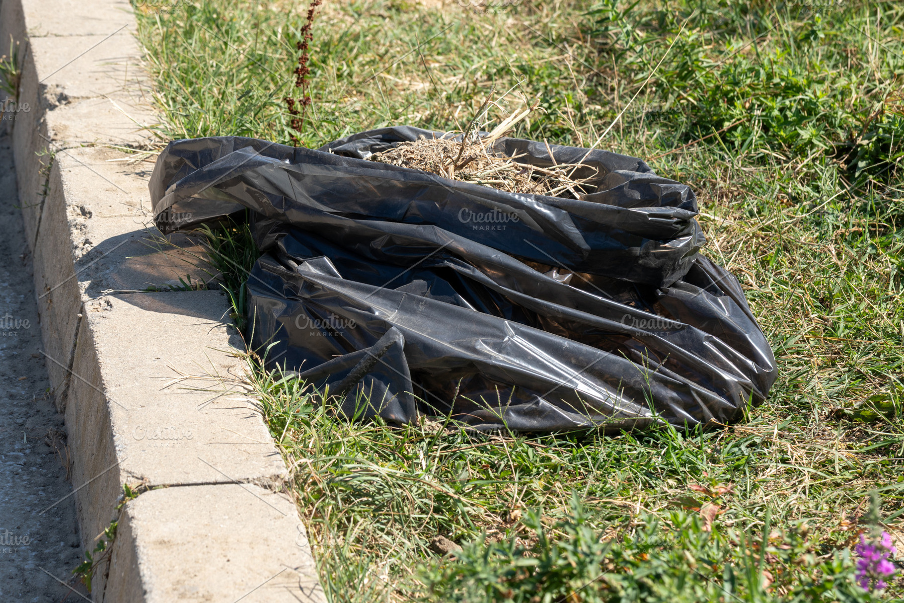 Black garbage bag filled with dry grass lying on green grass next to a concrete, a Nature Photo by Ales Munt