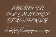 Olydemi | Beauty Script, a Script Font by Denustudios (Thumbnail 10 of 13)
