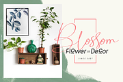 Zolda Script + Sans Family | 7 Fonts, a Sans Serif Font by 160 Studio (Thumbnail 12 of 23)