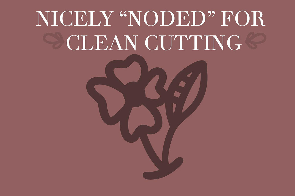 Bellished - Dingbat Duo, a Symbol Font by CraftyLittleNodes (Photo 2 of 6)