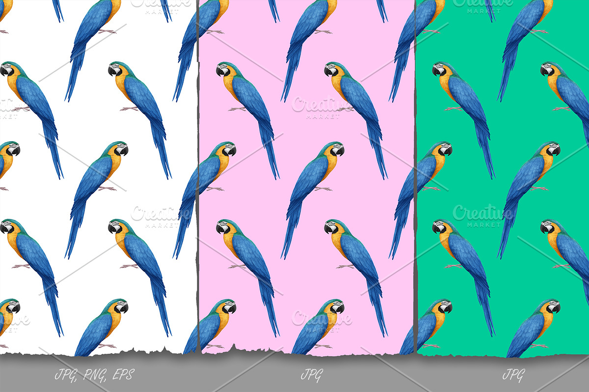 Parrot // Pattern Design, a Pattern Graphic by Victoria_Novak ...