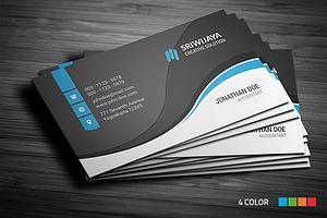 Professional Business Card