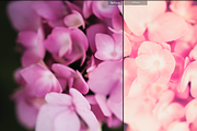 Dream World Lightroom Presets preview 5