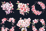 Watercolor Cherry Blossom Collection, a Decorative Illustration by GiraffeCreative (Thumbnail 7 of 9)
