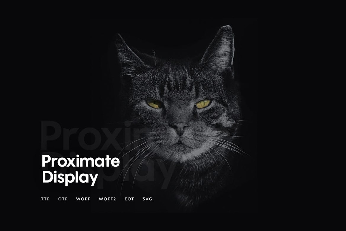 Proximate - Modern Typeface preview 3