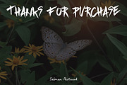 Butterfly Photo Pack, an Object Graphic by Salman Photocreative (Thumbnail 4 of 4)
