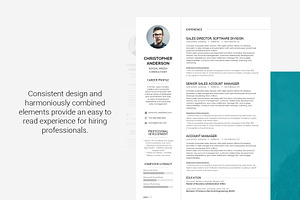 Resume Template Synnove