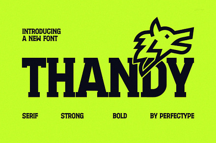 Thandy Modern Slab Serif, a Sans Serif Font by Perfectype