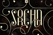 Sorcha Display font + Swashes, a Font by VP Fonts (Thumbnail 1 of 14)