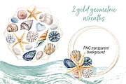 Shells, beach watercolor set., an Illustration by Larisa Maslova (Thumbnail 5 of 13)