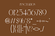 Brownish | Modern Stylish, a Serif Font by Muntab_Art (Thumbnail 9 of 9)
