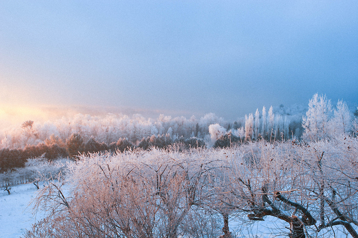 Wintertone Lightroom Presets preview 4