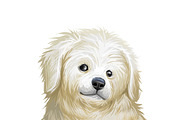 Puppies Dog Breeds Big Bundle 135Pcs, an Animal Illustration by Dneprstock (Thumbnail 31 of 68)