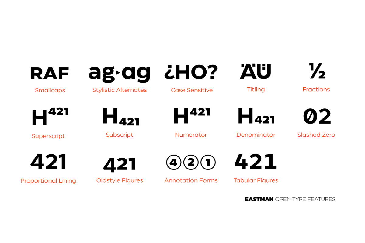 Eastman - 42 fonts, a Sans Serif Font by Zetafonts (Photo 12 of 12)
