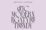 Melted Etoile - Chic Ligature Serif, a Serif Font by Mikhail Fukurou (Thumbnail 2 of 8)
