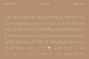 CS Belova Halfpixel, a Serif Font by Craft Supply Co. (Thumbnail 8 of 8)