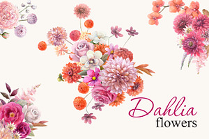 Magenta dahlia,watercolor flowers
