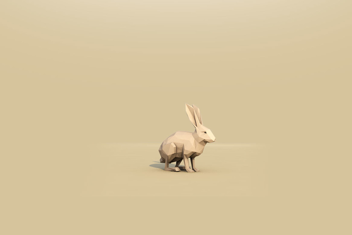 Low Poly Forest Animals Pack 1, an Animal 3D Model by Anton Moek (Photo 11 of 12)