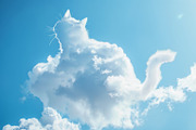 90 Clouds animals against a blue sky, an Animal Illustration by Handmadefont (Thumbnail 42 of 64)