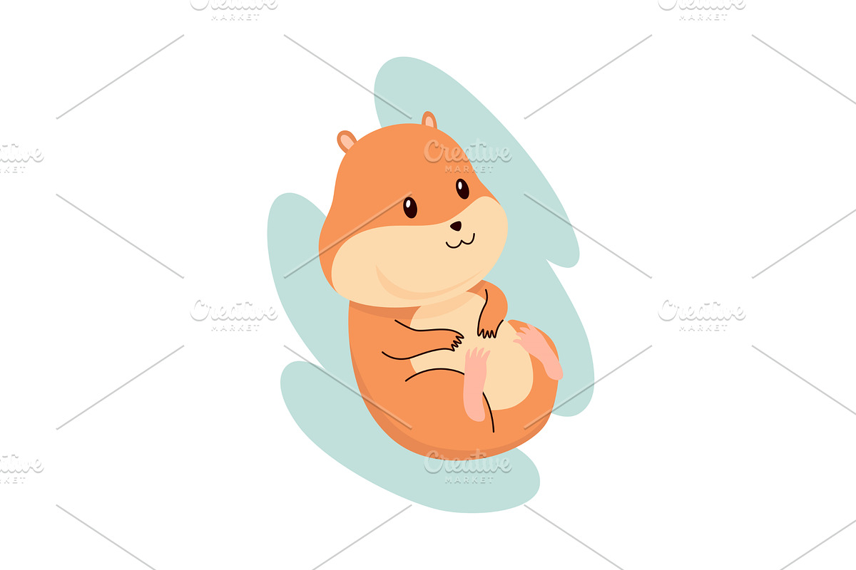 Cartoon hamster. Fluffy domestic pet, an Animal Illustration by the8monkey