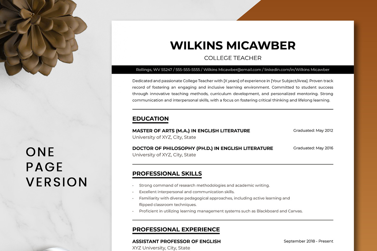 College Teacher Resume Template, a Resume Template by ResumeInventor (Photo 2 of 9)