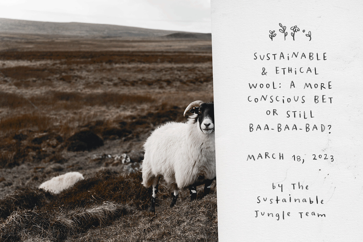Wonky SVG Font And Extras, a Handwritten Font by Ana's Fonts (Photo 5 of 13)