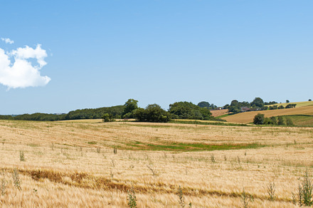 Harvest - the countryside, a Photo by Peopleimages.com