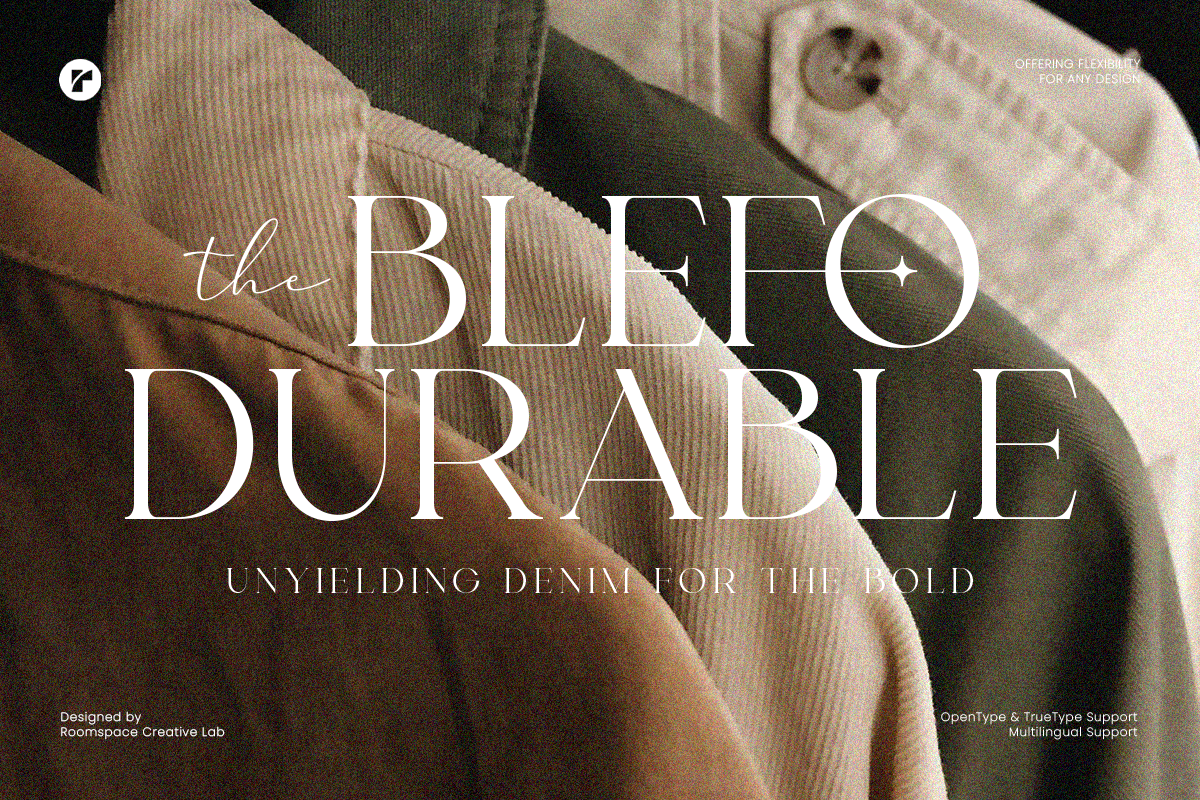 Light Rock - Elegant Modern Serif, a Serif Font by roomspace creative lab (Photo 2 of 14)