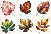 Rustic Autumn Leaves Clipart, an Illustration by Rose Art (Thumbnail 5 of 5)