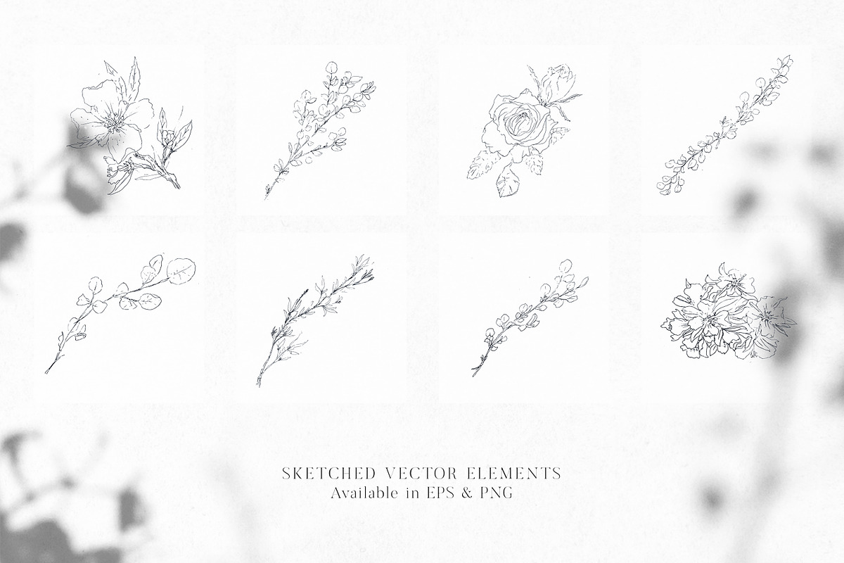 Bonnie Blue - Botanical Clipart, an Illustration by The Autumn Rabbit Ltd (Photo 5 of 9)