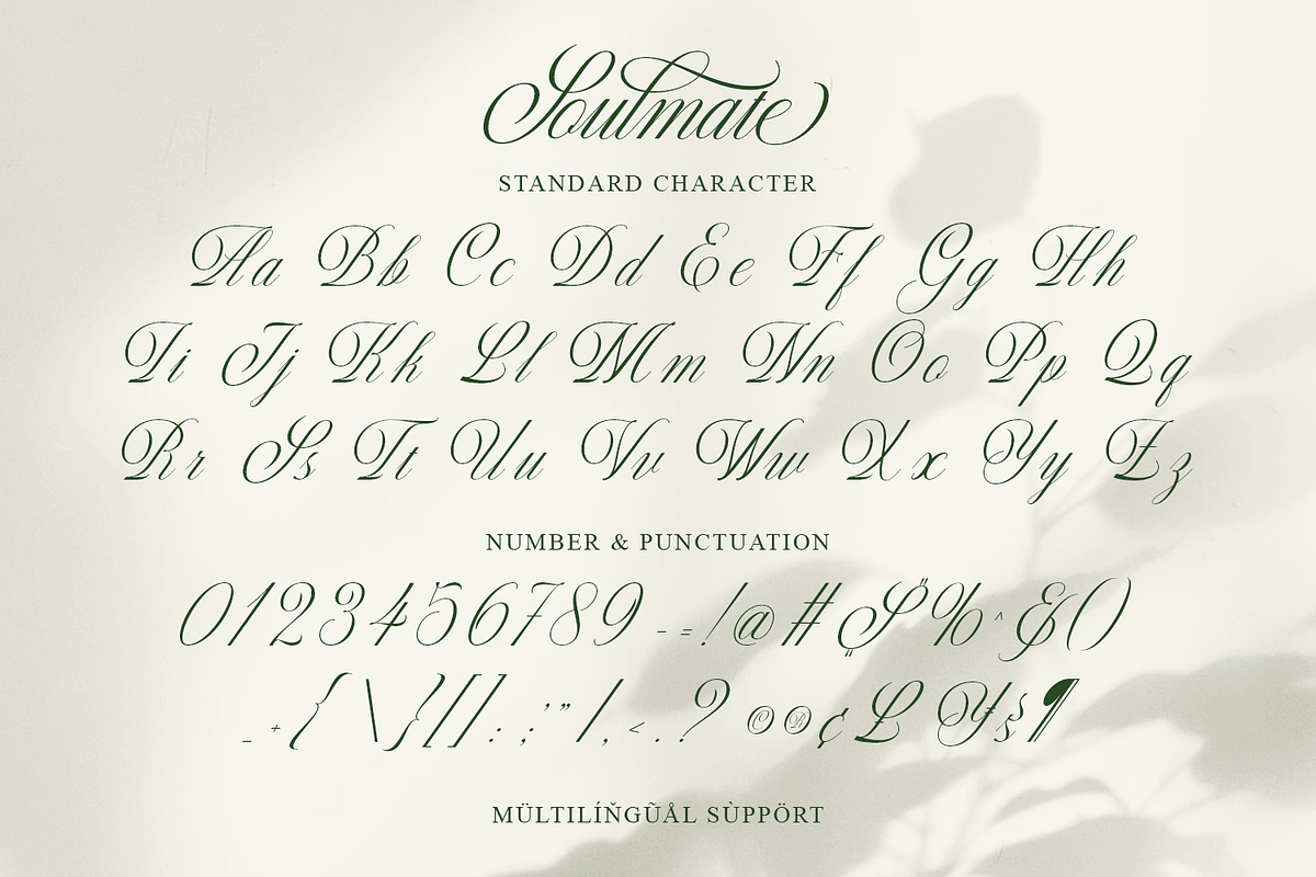 Soulmate - Modern Cursive Script, a Script Font by Pixesia Studio (Photo 11 of 11)