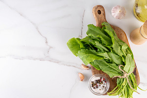 Bunch of fresh raw organic sorrel leaves, a Food & Drink Photo by Rimma