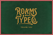 Dyans Font Family, a Font by Roams Type (Thumbnail 8 of 8)