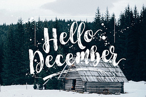 Start Today - Brush Font Duo