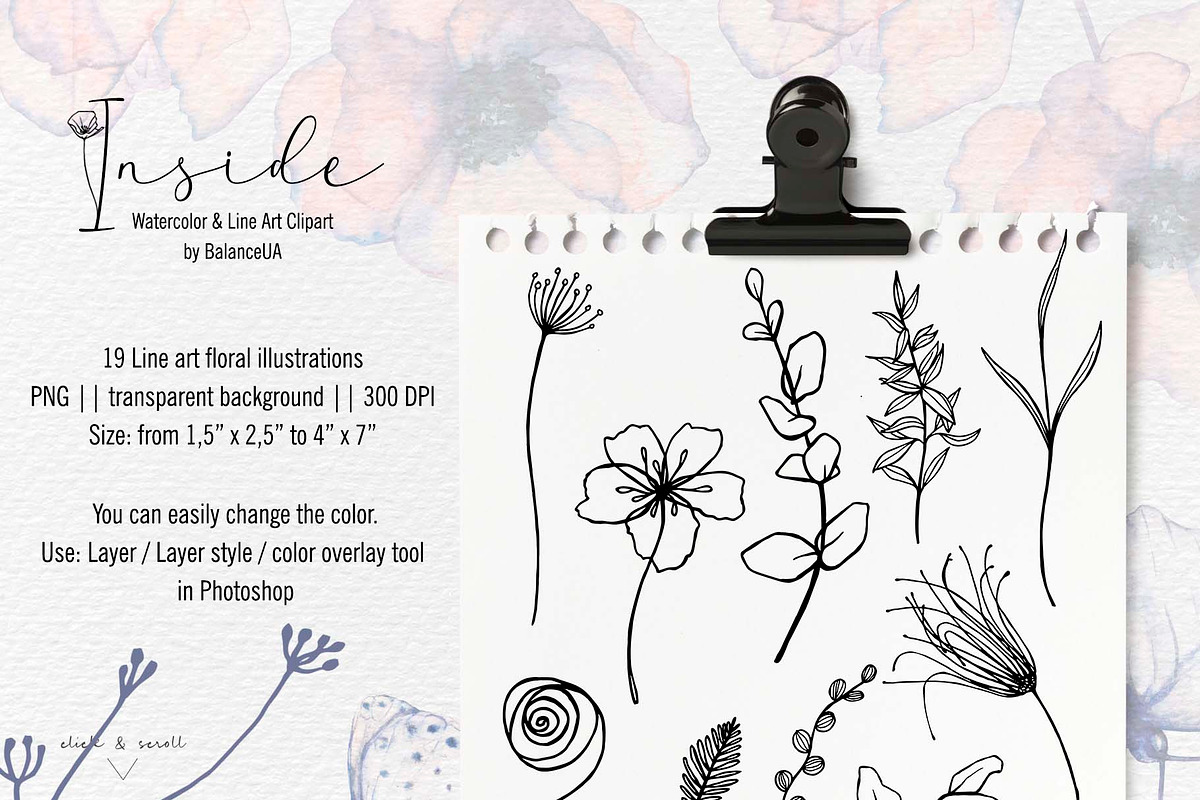 Inside Watercolor Floral Clipart, a Decorative Illustration by BalanceUA (Photo 8 of 19)