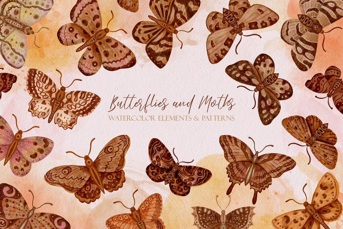 Watercolor Butterflies and Moths, an Object Graphic by Tiger and Flower (Photo 1 of 17)